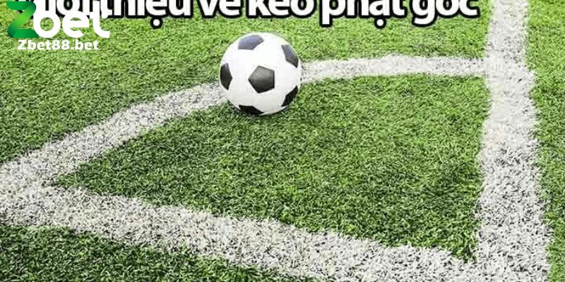 Kèo phạt góc là một phần quan trọng trong cá cược bóng đá hiện nay