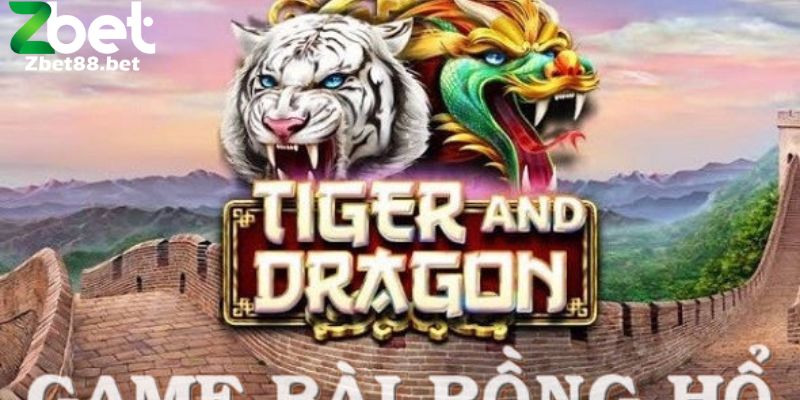 Người chơi rồng hổ zbet cần nắm rõ luật chơi và mẹo chơi