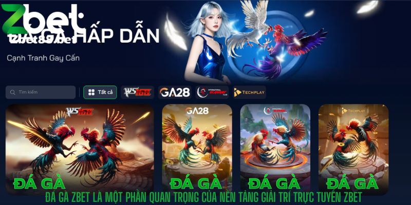 Đá gà Zbet là một phần quan trọng của nền tảng giải trí trực tuyến Zbet