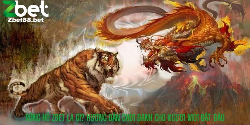 Rồng Hổ Zbet Là Gì? Hướng Dẫn Chơi Dành Cho Người Mới Bắt Đầu